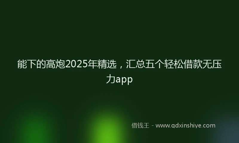 能下的高炮2025年精选，汇总五个轻松借款无压力app