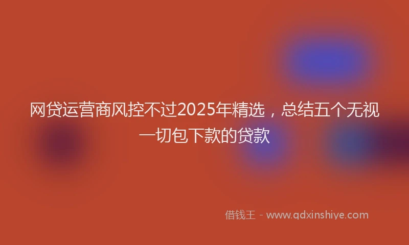 网贷运营商风控不过2025年精选，总结五个无视一切包下款的贷款