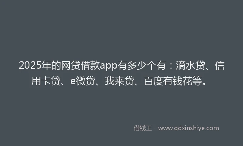 2025年的网贷借款app有多少个有：滴水贷、信用卡贷、e微贷、我来贷、百度有钱花等。