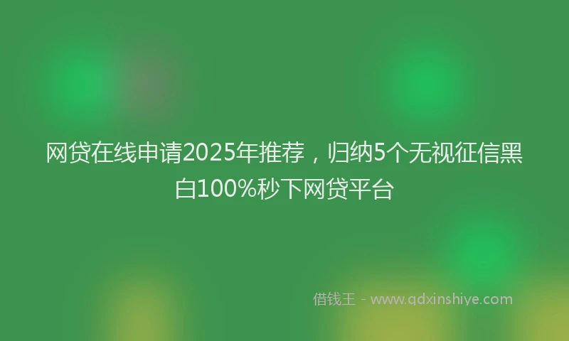 网贷在线申请2025年推荐，归纳5个无视征信黑白100%秒下网贷平台