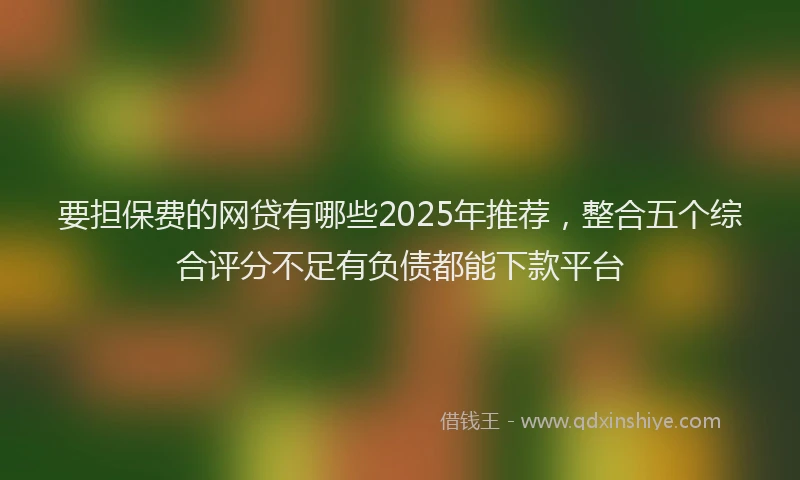 要担保费的网贷有哪些2025年推荐，整合五个综合评分不足有负债都能下款平台