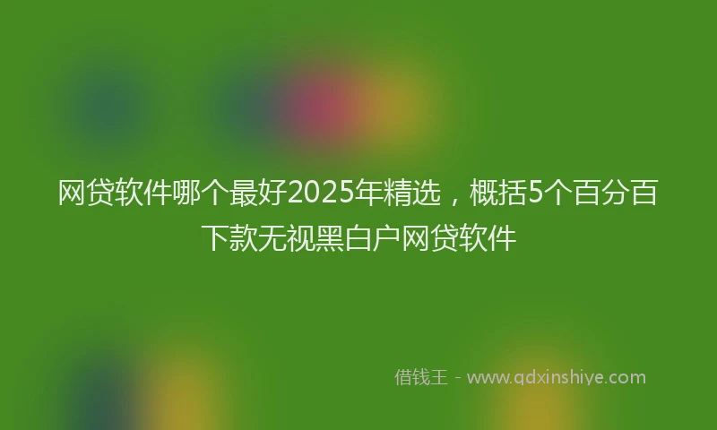 网贷软件哪个最好2025年精选，概括5个百分百下款无视黑白户网贷软件