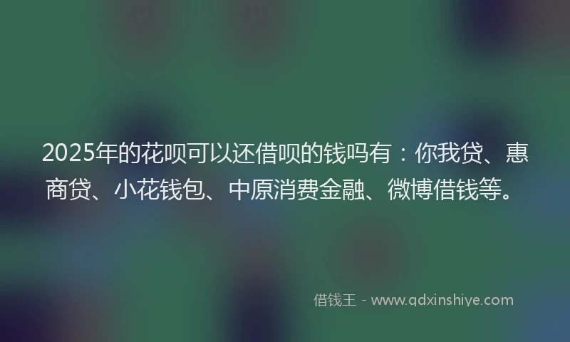 2025年的花呗可以还借呗的钱吗有：你我贷、惠商贷、小花钱包、中原消费金融、微博借钱等。