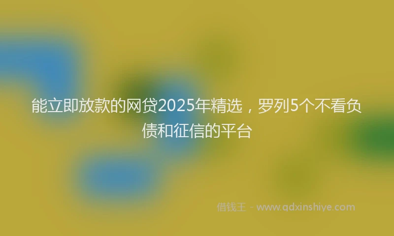 能立即放款的网贷2025年精选，罗列5个不看负债和征信的平台