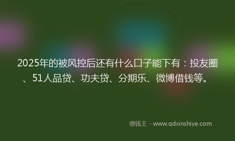 2025年的被风控后还有什么口子能下有：投友圈、51人品贷、功夫贷、分期乐、微博借钱等。