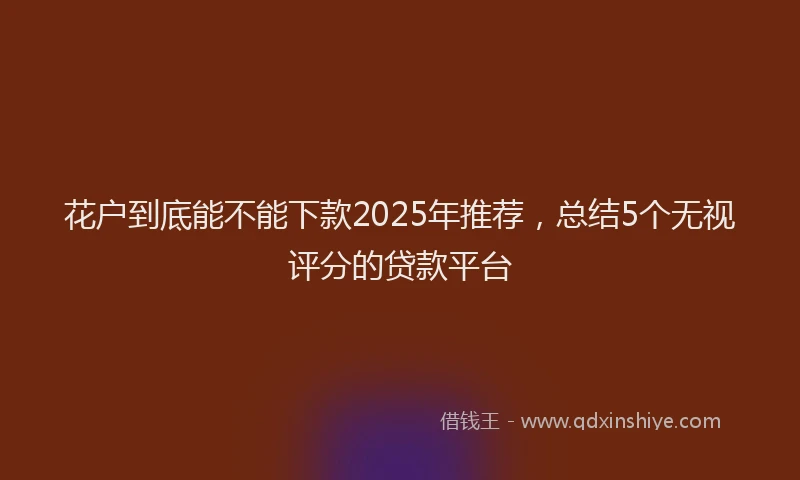 花户到底能不能下款2025年推荐，总结5个无视评分的贷款平台