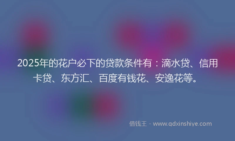 2025年的花户必下的贷款条件有：滴水贷、信用卡贷、东方汇、百度有钱花、安逸花等。