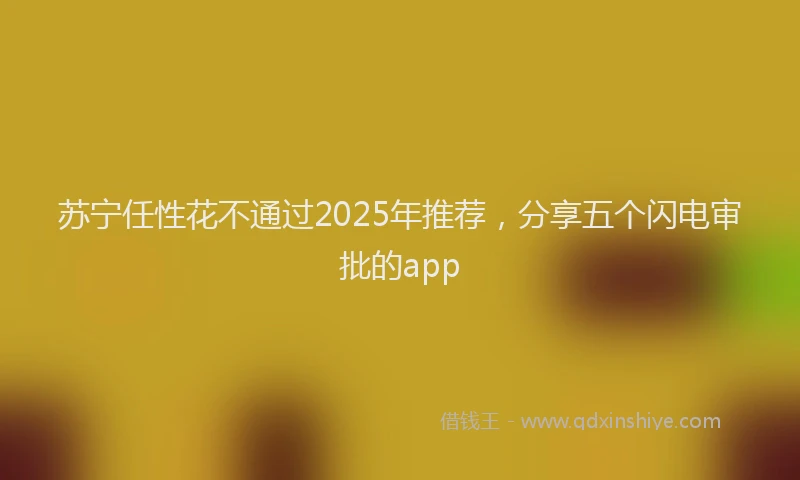 苏宁任性花不通过2025年推荐，分享五个闪电审批的app