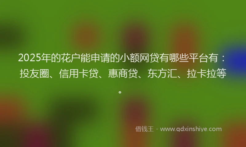 2025年的花户能申请的小额网贷有哪些平台有：投友圈、信用卡贷、惠商贷、东方汇、拉卡拉等。