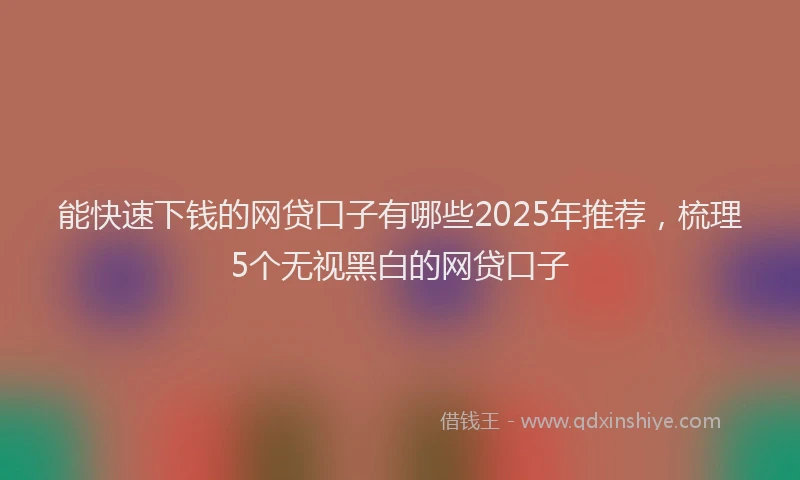 能快速下钱的网贷口子有哪些2025年推荐，梳理5个无视黑白的网贷口子