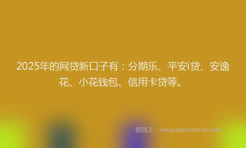 2025年的网贷新口子有：分期乐、平安i贷、安逸花、小花钱包、信用卡贷等。