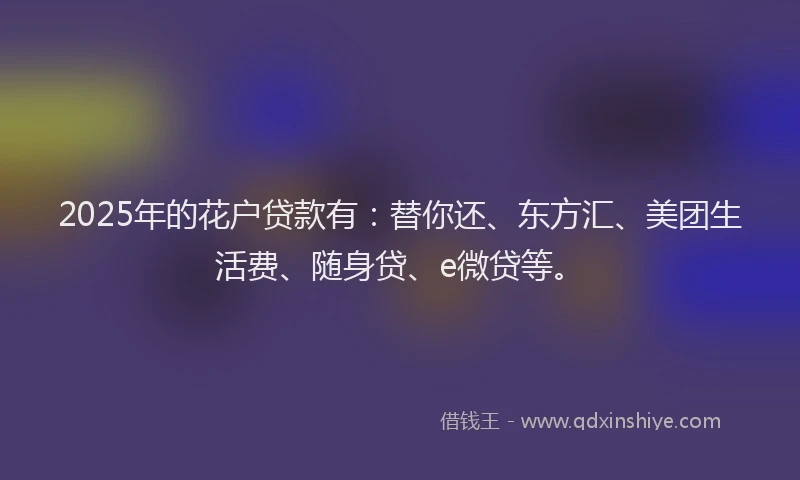 2025年的花户贷款有：替你还、东方汇、美团生活费、随身贷、e微贷等。