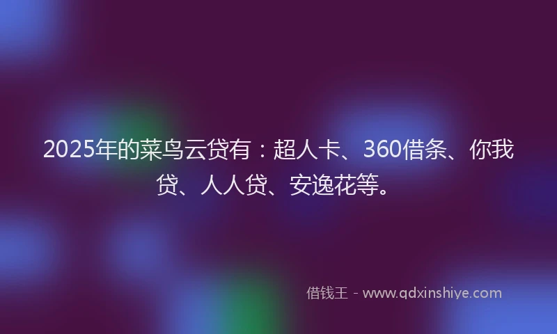 2025年的菜鸟云贷有：超人卡、360借条、你我贷、人人贷、安逸花等。
