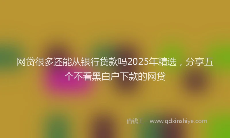 网贷很多还能从银行贷款吗2025年精选，分享五个不看黑白户下款的网贷