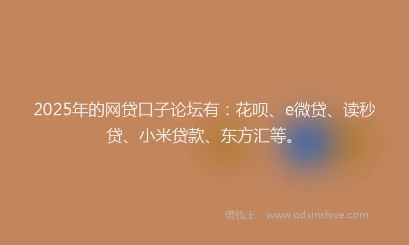2025年的网贷口子论坛有：花呗、e微贷、读秒贷、小米贷款、东方汇等。