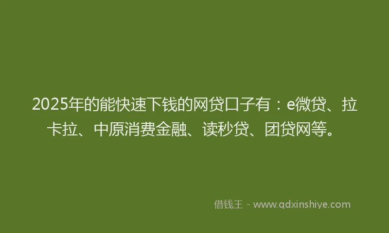 2025年的能快速下钱的网贷口子有：e微贷、拉卡拉、中原消费金融、读秒贷、团贷网等。
