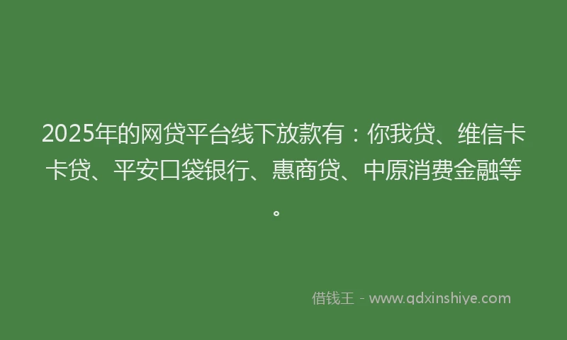 2025年的网贷平台线下放款有：你我贷、维信卡卡贷、平安口袋银行、惠商贷、中原消费金融等。