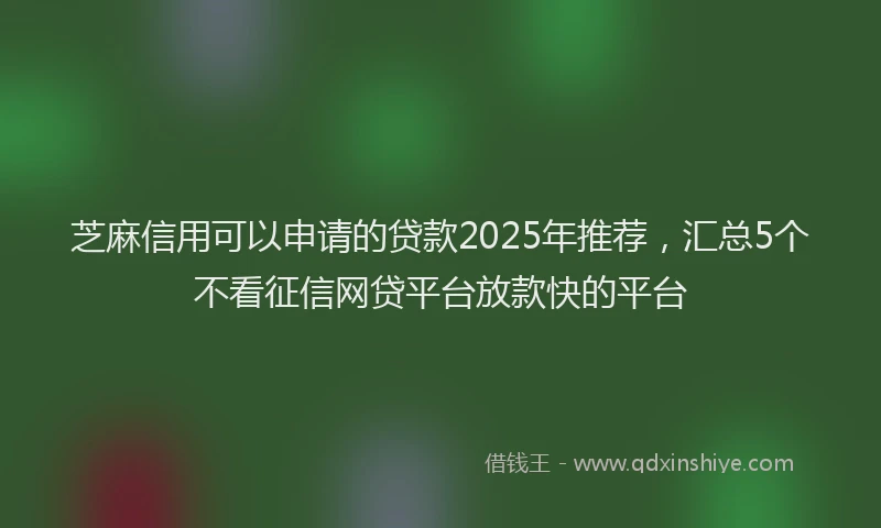 芝麻信用可以申请的贷款2025年推荐，汇总5个不看征信网贷平台放款快的平台
