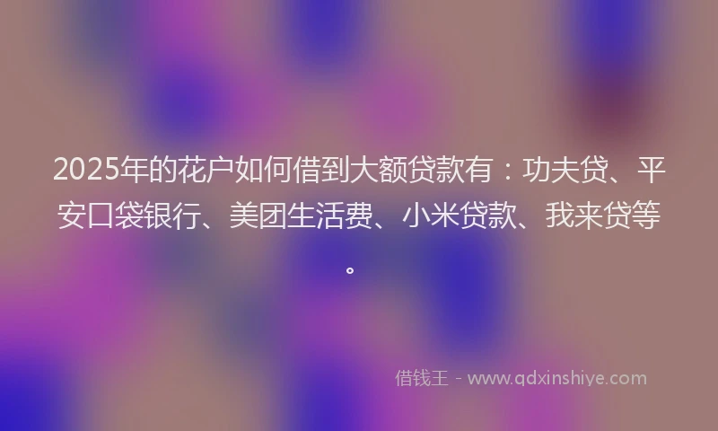 2025年的花户如何借到大额贷款有：功夫贷、平安口袋银行、美团生活费、小米贷款、我来贷等。
