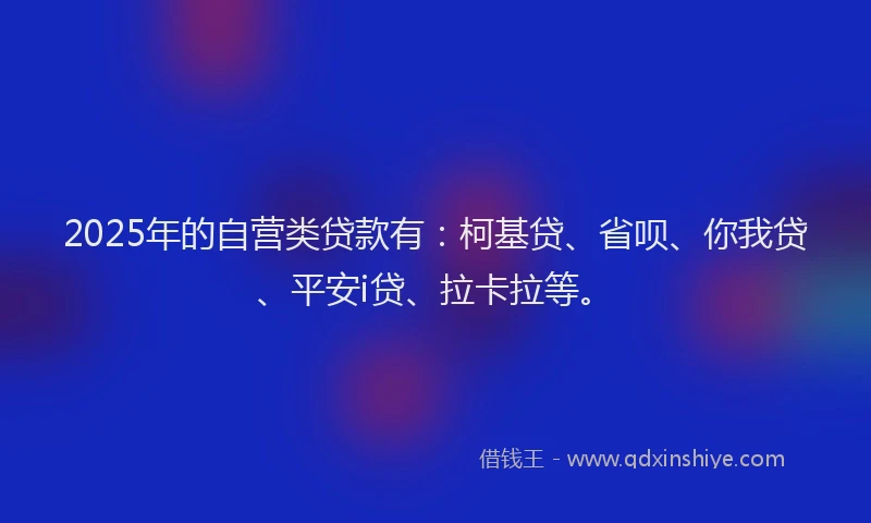 2025年的自营类贷款有：柯基贷、省呗、你我贷、平安i贷、拉卡拉等。