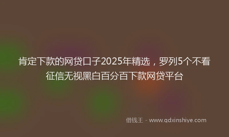 肯定下款的网贷口子2025年精选，罗列5个不看征信无视黑白百分百下款网贷平台