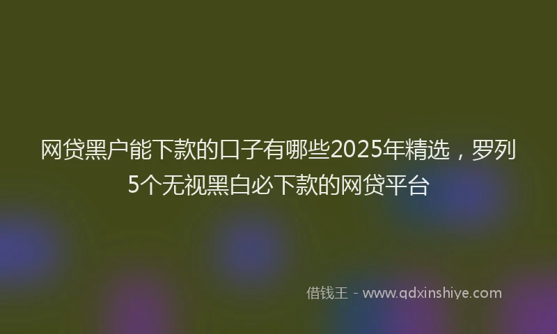 网贷黑户能下款的口子有哪些2025年精选，罗列5个无视黑白必下款的网贷平台