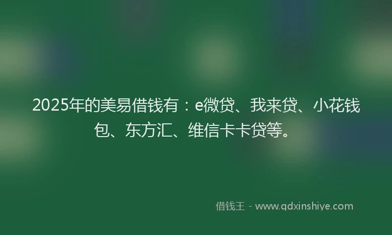 2025年的美易借钱有：e微贷、我来贷、小花钱包、东方汇、维信卡卡贷等。