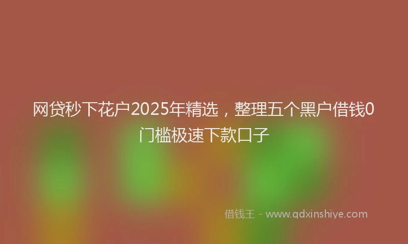 网贷秒下花户2025年精选，整理五个黑户借钱0门槛极速下款口子