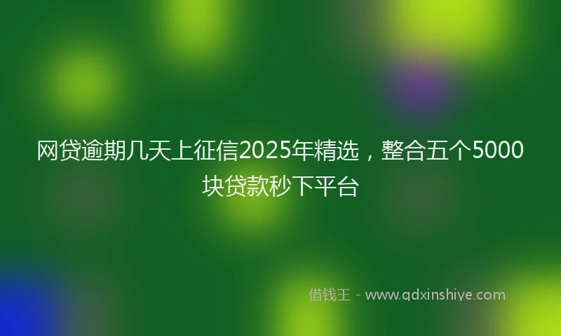 网贷逾期几天上征信2025年精选，整合五个5000块贷款秒下平台