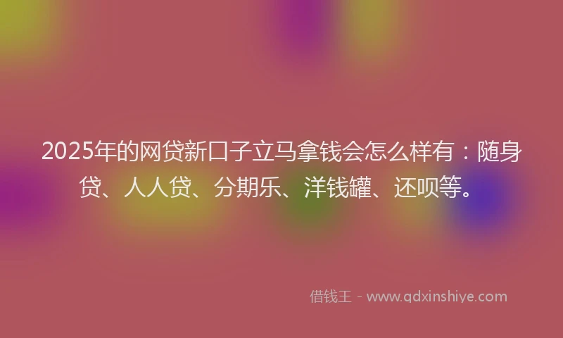 2025年的网贷新口子立马拿钱会怎么样有：随身贷、人人贷、分期乐、洋钱罐、还呗等。