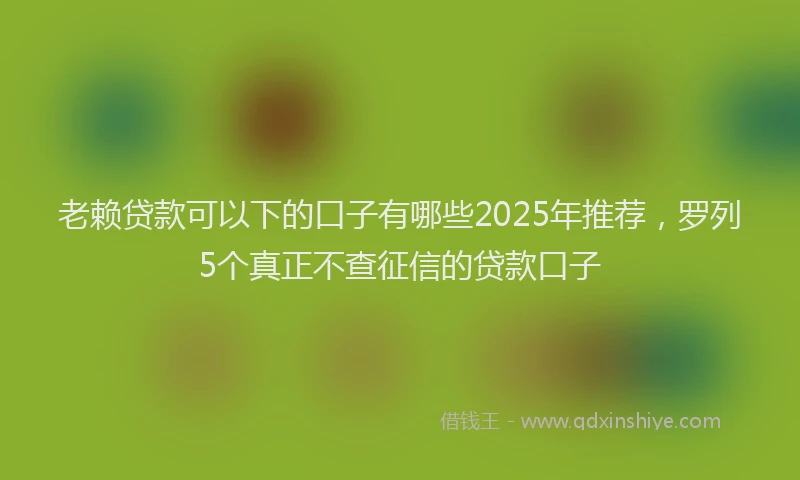 老赖贷款可以下的口子有哪些2025年推荐，罗列5个真正不查征信的贷款口子