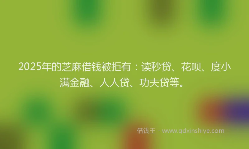 2025年的芝麻借钱被拒有：读秒贷、花呗、度小满金融、人人贷、功夫贷等。
