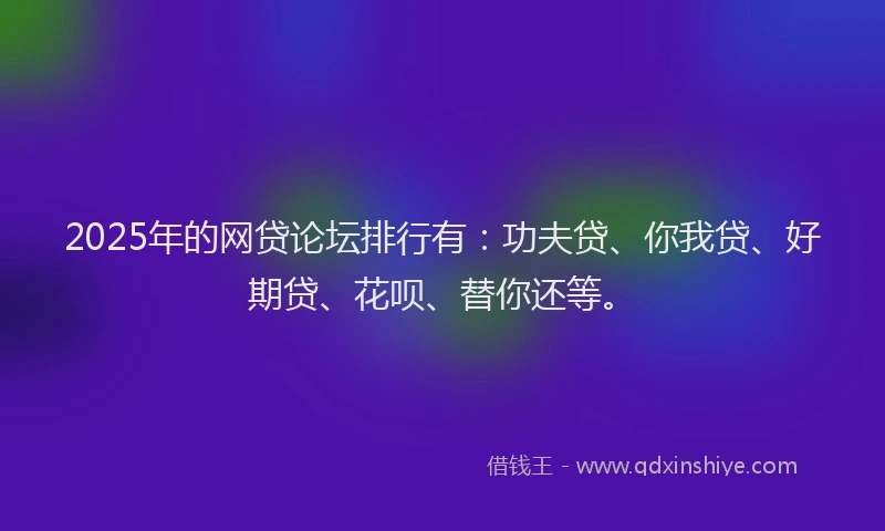 2025年的网贷论坛排行有：功夫贷、你我贷、好期贷、花呗、替你还等。