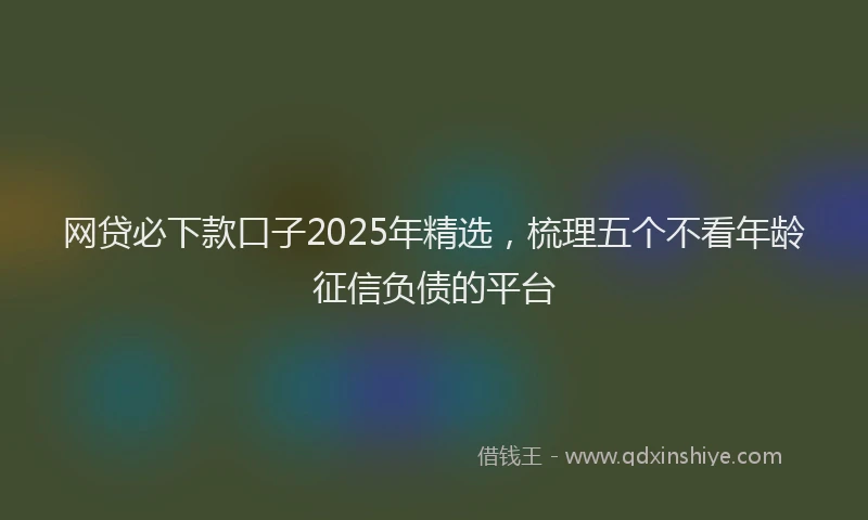 网贷必下款口子2025年精选，梳理五个不看年龄征信负债的平台