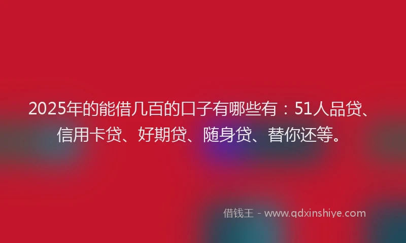 2025年的能借几百的口子有哪些有：51人品贷、信用卡贷、好期贷、随身贷、替你还等。