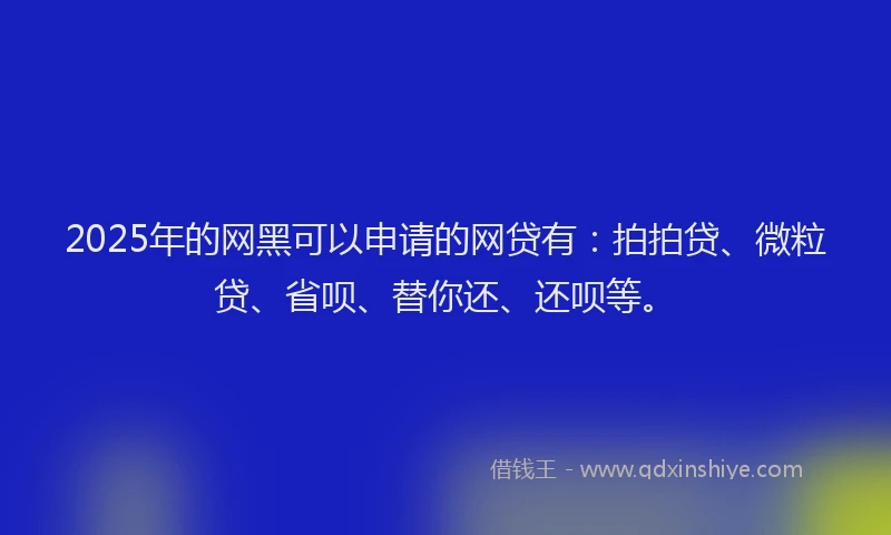 2025年的网黑可以申请的网贷有：拍拍贷、微粒贷、省呗、替你还、还呗等。