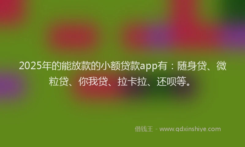 2025年的能放款的小额贷款app有：随身贷、微粒贷、你我贷、拉卡拉、还呗等。