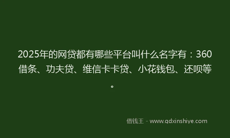 2025年的网贷都有哪些平台叫什么名字有：360借条、功夫贷、维信卡卡贷、小花钱包、还呗等。