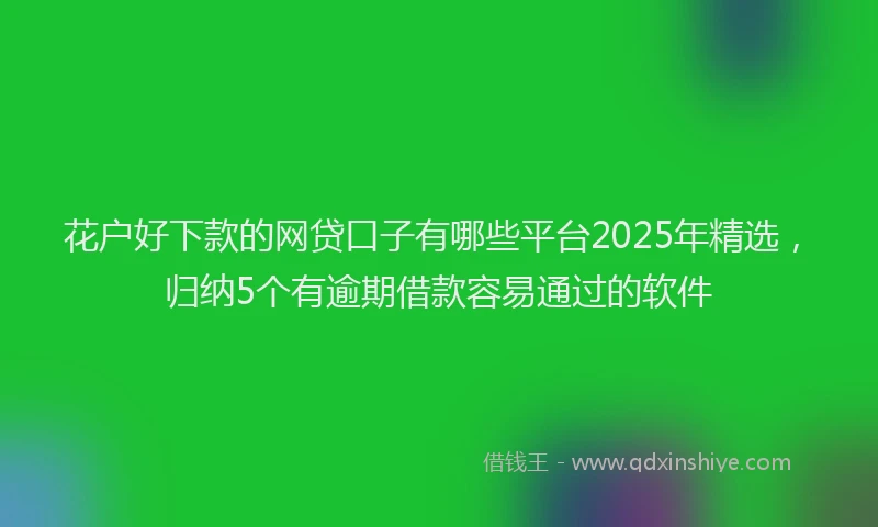 花户好下款的网贷口子有哪些平台2025年精选，归纳5个有逾期借款容易通过的软件
