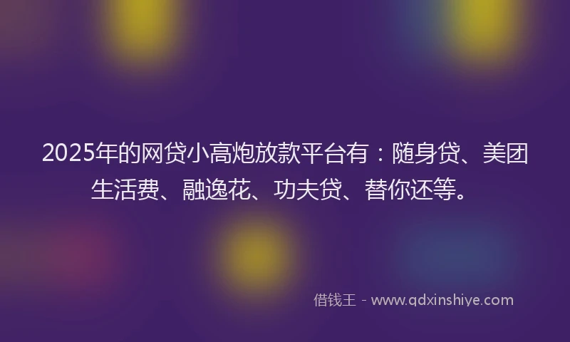 2025年的网贷小高炮放款平台有：随身贷、美团生活费、融逸花、功夫贷、替你还等。