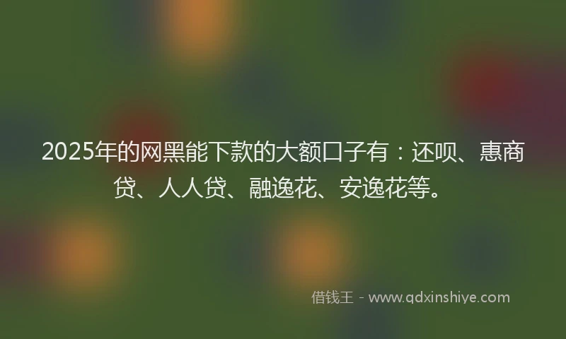 2025年的网黑能下款的大额口子有：还呗、惠商贷、人人贷、融逸花、安逸花等。