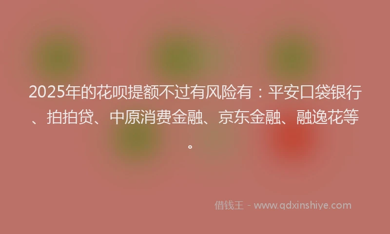 2025年的花呗提额不过有风险有：平安口袋银行、拍拍贷、中原消费金融、京东金融、融逸花等。