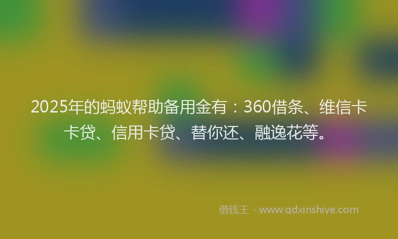 2025年的蚂蚁帮助备用金有：360借条、维信卡卡贷、信用卡贷、替你还、融逸花等。