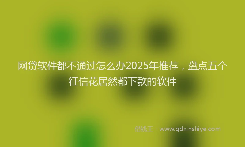 网贷软件都不通过怎么办2025年推荐，盘点五个征信花居然都下款的软件