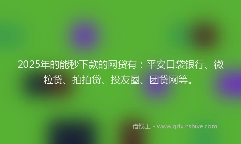 2025年的能秒下款的网贷有：平安口袋银行、微粒贷、拍拍贷、投友圈、团贷网等。