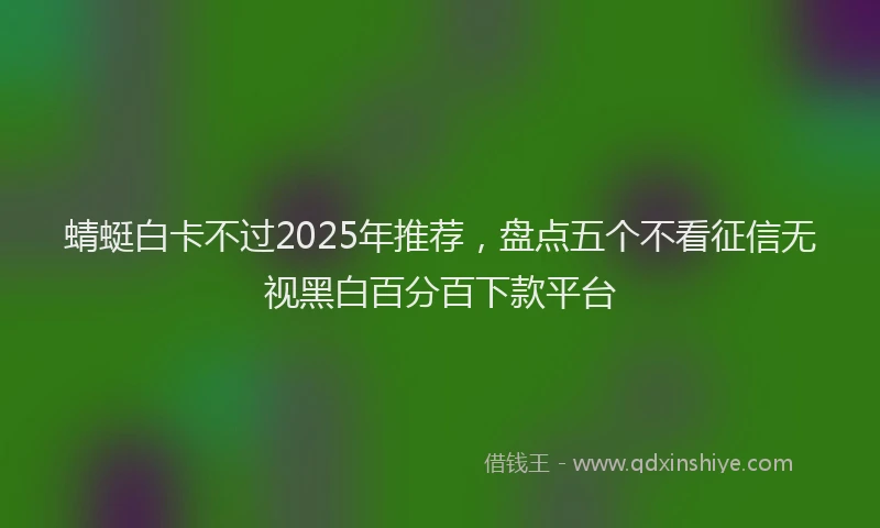 蜻蜓白卡不过2025年推荐，盘点五个不看征信无视黑白百分百下款平台