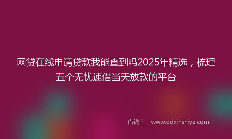网贷在线申请贷款我能查到吗2025年精选，梳理五个无忧速借当天放款的平台