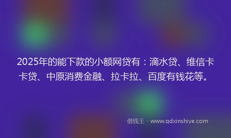 2025年的能下款的小额网贷有：滴水贷、维信卡卡贷、中原消费金融、拉卡拉、百度有钱花等。