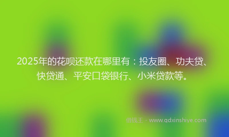 2025年的花呗还款在哪里有：投友圈、功夫贷、快贷通、平安口袋银行、小米贷款等。