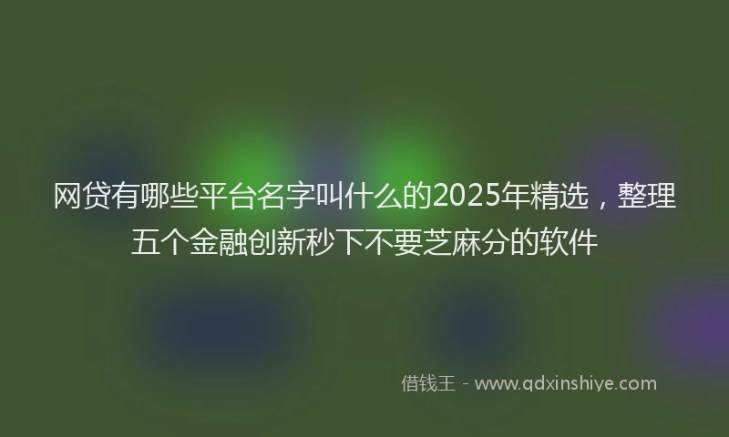 网贷有哪些平台名字叫什么的2025年精选，整理五个金融创新秒下不要芝麻分的软件
